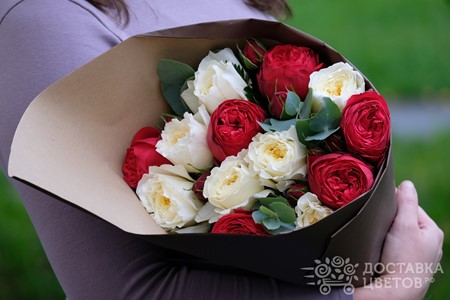 Букет красных и белых пионовидных роз "Дерби"